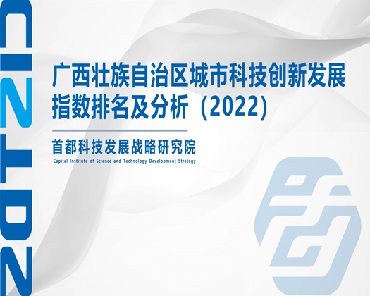 插逼黄网站【成果发布】广西壮族自治区城市科技创新发展指数排名及分析（2022）